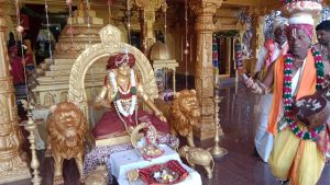 WhatsApp Image 2023-01-15 at 11.00.35.jpeg