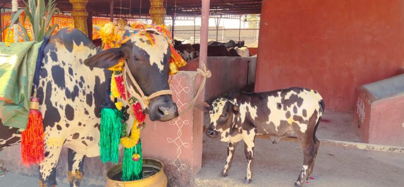 File:WhatsApp Image 2023-01-16 at 14.06.59.jpeg