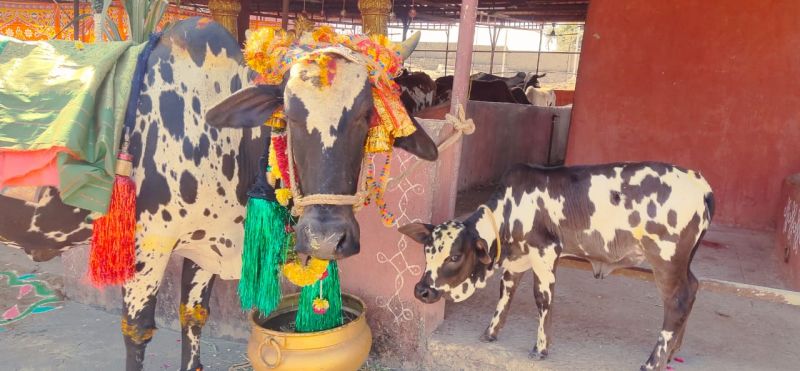 File:WhatsApp Image 2023-01-16 at 14.07.00.jpeg