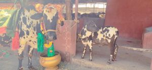 WhatsApp Image 2023-01-16 at 14.07.00 (1).jpeg