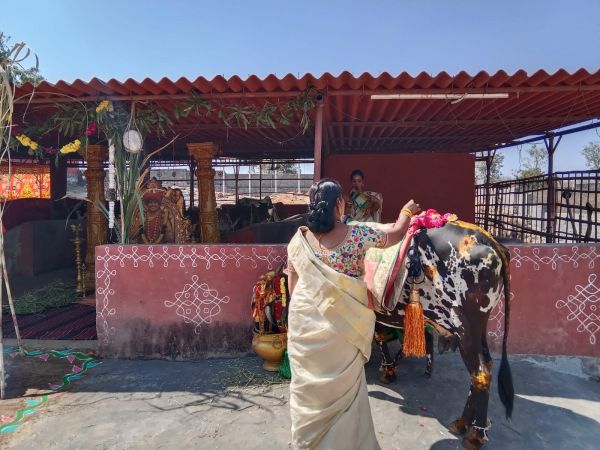 WhatsApp Image 2023-01-16 at 18.46.58.jpeg