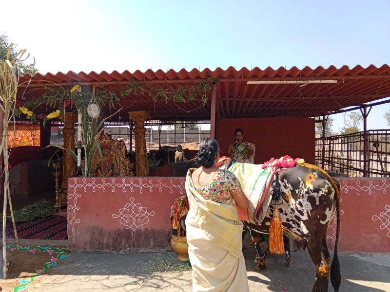 File:WhatsApp Image 2023-01-16 at 18.46.58 (1).jpeg