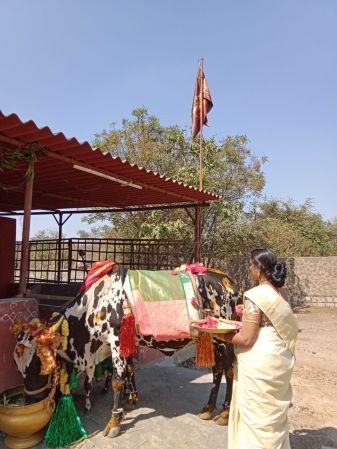 WhatsApp Image 2023-01-16 at 18.47.01 (1).jpeg