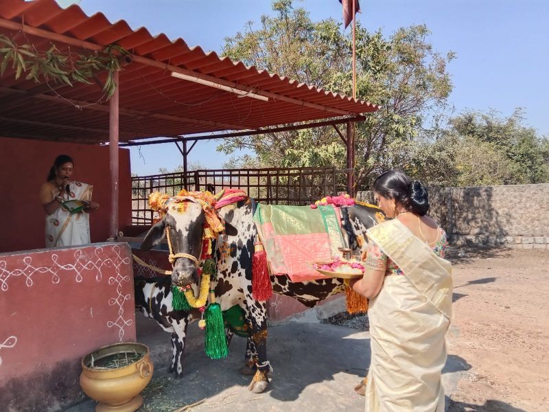 File:WhatsApp Image 2023-01-16 at 18.47.01 (2).jpeg