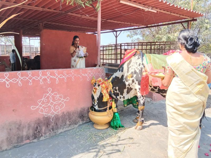 File:WhatsApp Image 2023-01-16 at 18.49.20 (1).jpeg