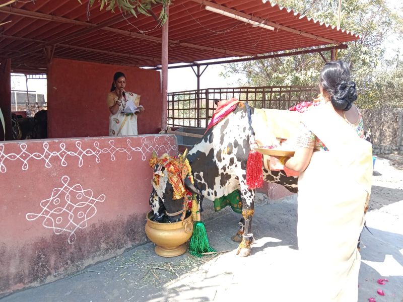 File:WhatsApp Image 2023-01-16 at 18.49.20 (2).jpeg