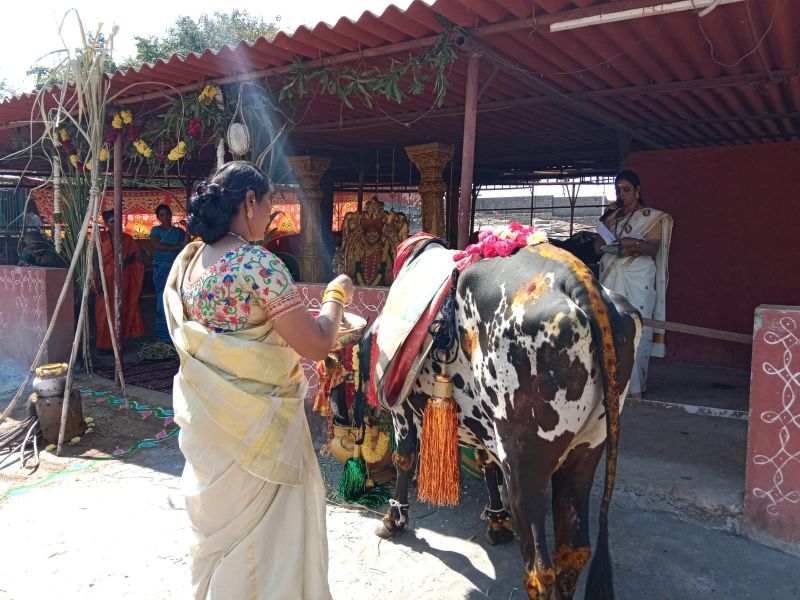 File:WhatsApp Image 2023-01-16 at 18.49.21 (1).jpeg