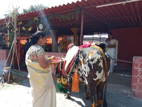 WhatsApp Image 2023-01-16 at 18.49.21 (2).jpeg