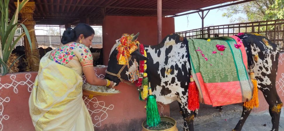 WhatsApp Image 2023-01-16 at 21.02.38.jpeg