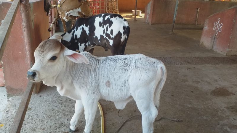 WhatsApp Image 2023-01-23 at 17.42.27.jpeg