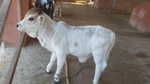 WhatsApp Image 2023-01-23 at 17.42.28.jpeg