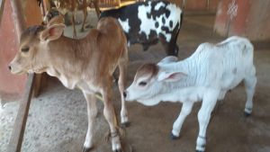 WhatsApp Image 2023-01-23 at 17.42.28 (1).jpeg