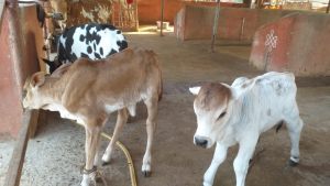 WhatsApp Image 2023-01-23 at 17.42.29.jpeg