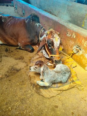 WhatsApp Image 2023-01-23 at 19.09.42.jpeg