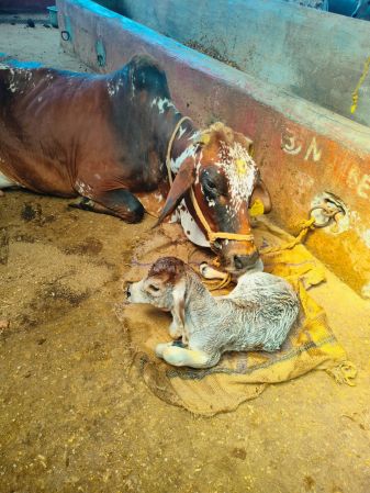 WhatsApp Image 2023-01-23 at 19.09.42.jpeg