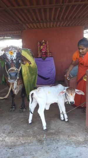 WhatsApp Image 2023-01-25 at 17.09.56.jpeg