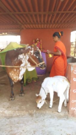 WhatsApp Image 2023-01-25 at 17.09.57 (1).jpeg