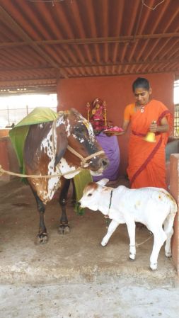 WhatsApp Image 2023-01-25 at 17.09.58.jpeg