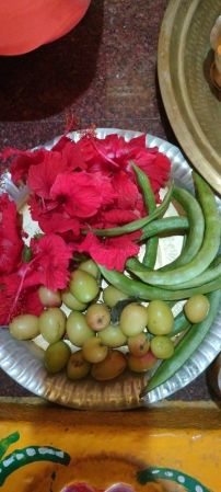 WhatsApp Image 2023-01-28 at 12.00.13.jpeg