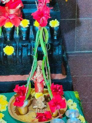 WhatsApp Image 2023-01-28 at 19.23.34.jpeg